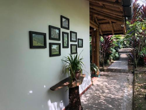 Dārzs, Finca Hotel Brasilia in La Virginia