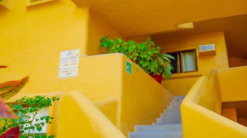 Los Tules Ocean Front Condo ,With Amazing Ocean View by Kivoya in Puerto Vallarta, Mexico