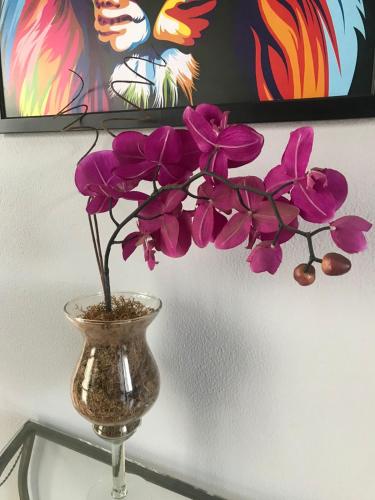 Hotel Alfa de Bauru Ltda – Bauru, PA