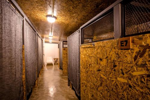 Loft Hostel Koh Tao in Ko Tao