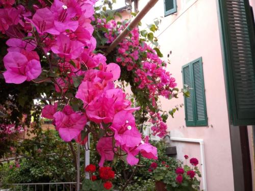  Albergo Italia, Pension in Piombino