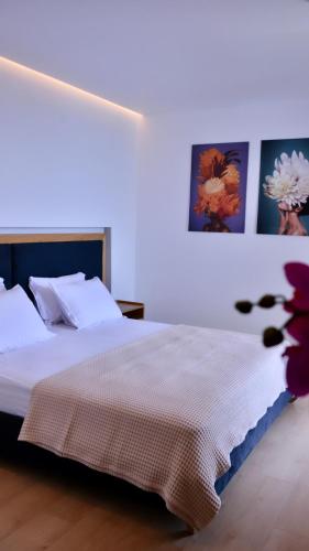 Hotel Nertili - main image