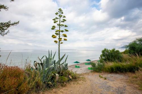 Mola Kaliva sea view, 100m from the beach!