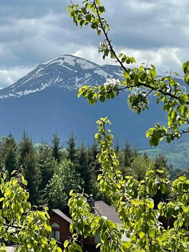 Double Room with Mountain View