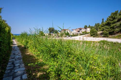 Amalia Luxury house in Elani beach 100m by the sea Amalia Luxury house in Elani beach 100m by the sea