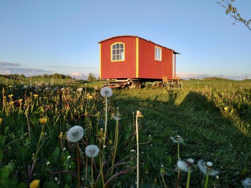 Gula Vagnen - Accommodation - Hörby