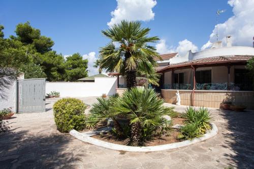  Family Relax Ionio m524 in Sant'Isidoro