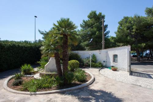  Family Relax Ionio m524 in Sant'Isidoro