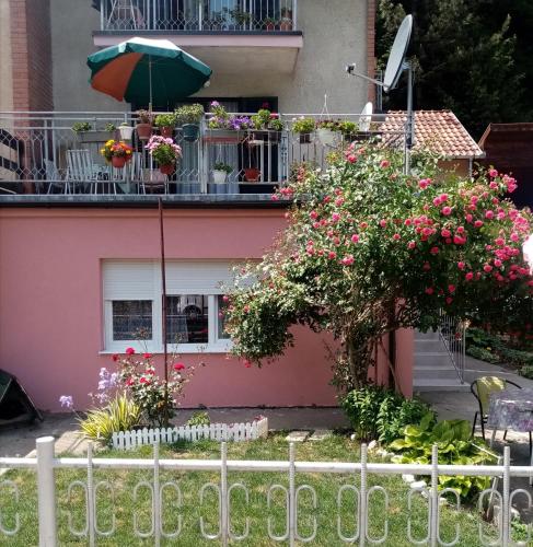 Apartman Vesna