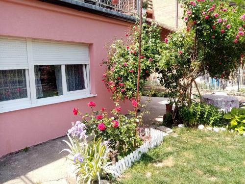 Apartman Vesna