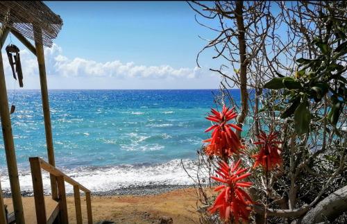 Shambala Beach House-where mountains meet the sea