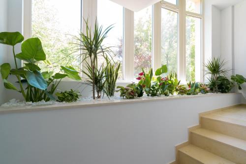 Hol, Hotel Console in Slobozia