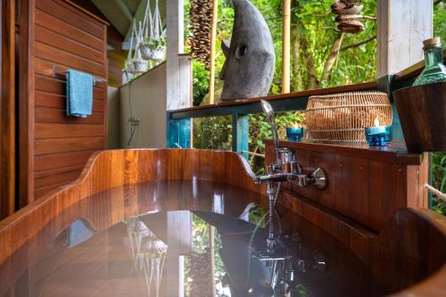 Παροχές, TropicAngel ECOLODGE de Charme in Πουάντ-Νουάρ