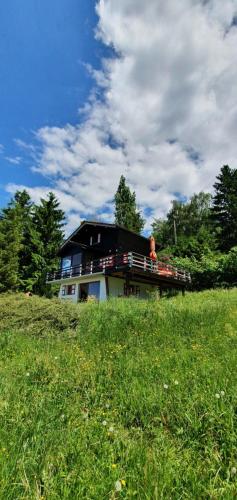 Chalet Nature, Thollon-les-Mémises (zdjęcie 9)