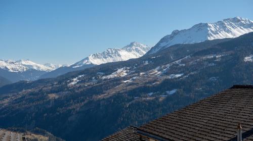  Holidays with dog Quadra in Lain-Lenzerheide in Obervaz