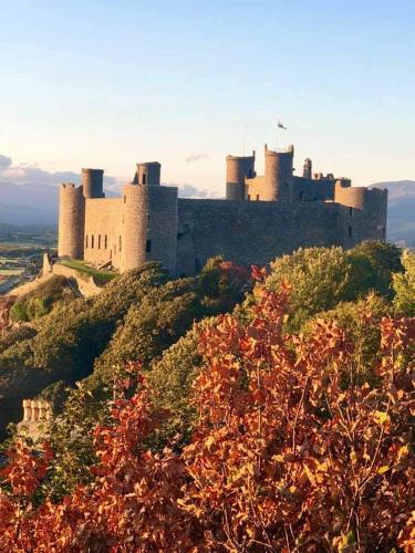 Cadwgan House Hotel - image 2