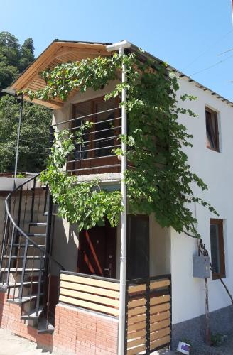 Georgian House