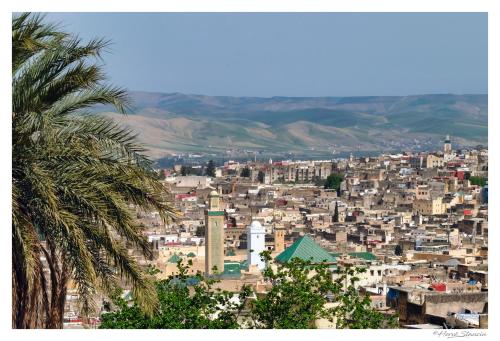 Riad Layalina Fes 3