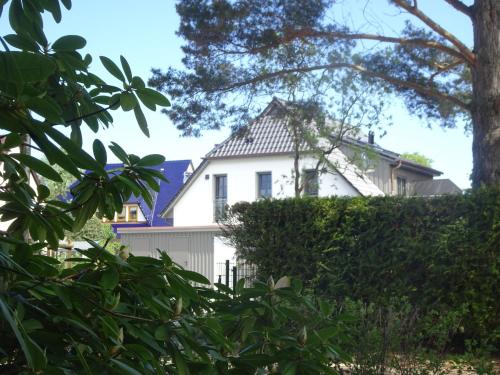 Apartment with Terrace image 6