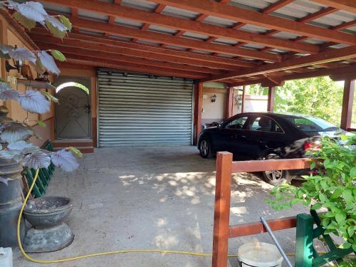 Sarajevo gardens - Sarajevo