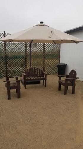 Garden, Cabanas Los Laureles Ruta del vino bc in Guadaloupe