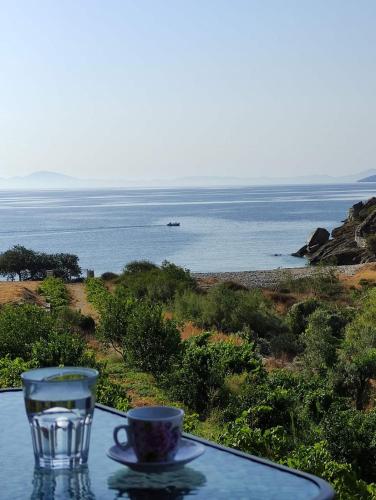 Votsalo Beach House - Location saisonnière - Moutsouna Naxos