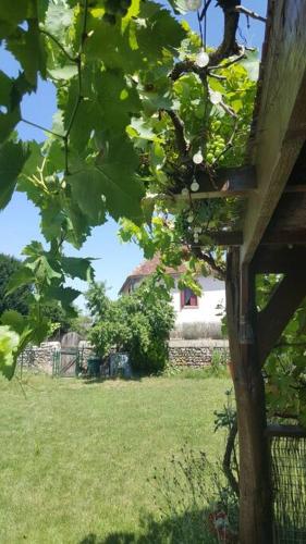 Les Éscuries. Four bedroom gîte near Montmorillon, Vienne 86. Cosy, peaceful, beautiful. gîte à louer Adriers