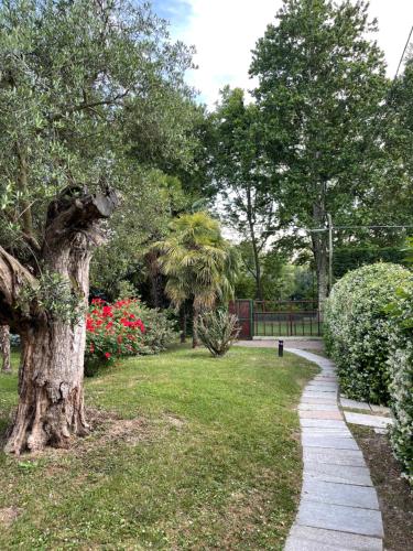 Parco Sassi Hotel