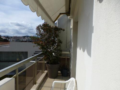 Cap Soleil, Antibes (zdjęcie 10)