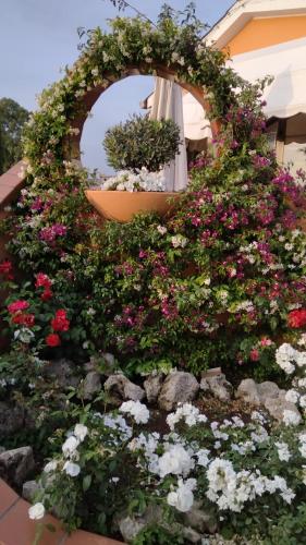 Villa Francesca - image 13