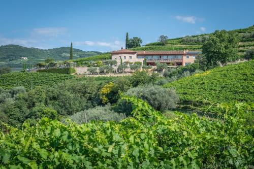 Relais di Campagna I Tamasotti