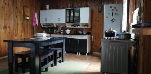 virtuve, Guesthouse Leno in Tsaldashi