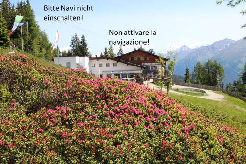 Panorama Restaurant Sterzingerhaus 1.930m - Accommodation - Sterzing - Vipiteno