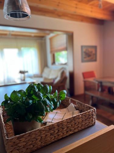 Schneider, Pāvilosta (foto 6)