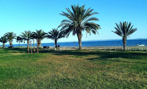 Room paradise gîte à louer Saná