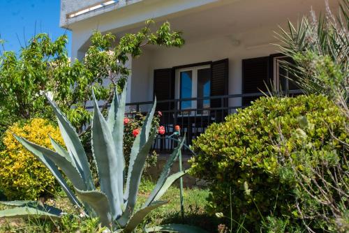 Apartmani Nana Mija in Pag