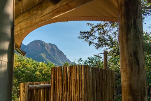 Cape Vulture Conservancy