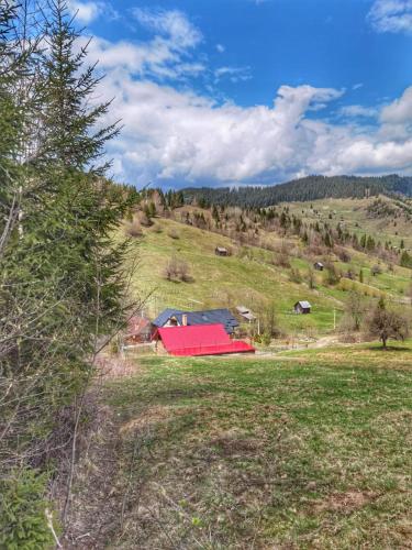Căsuța din Pădure - image 8