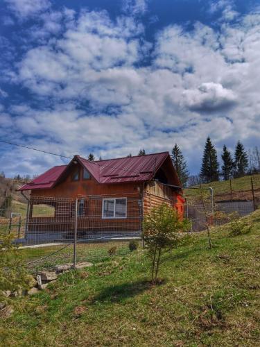 Căsuța din Pădure - main image