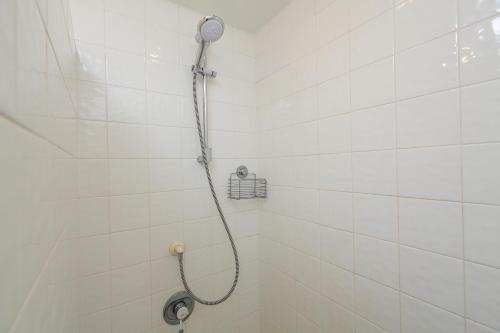 Westland - image 8