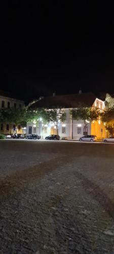 ALES apartman - image 9
