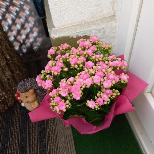  Sommerhaus in Veszprém