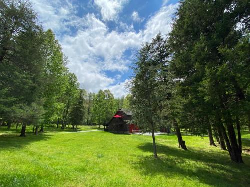 Shadow Mountain Escape Cabin Rentals Luray