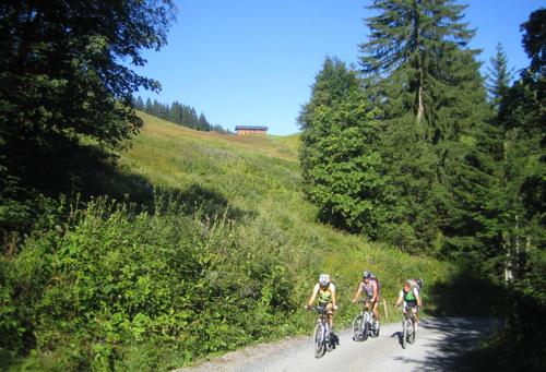  Appartement Toblermann in Schoppernau