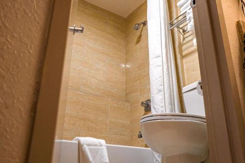 Quality Inn & Suites near Six Flags - Austell - image 13