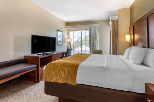 Comfort Suites Myrtle Beach Central