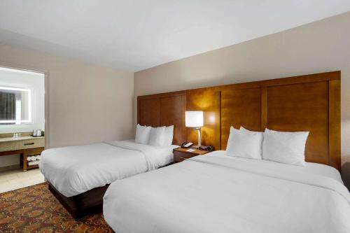 Comfort Inn Downtown Nashville-Vanderbilt