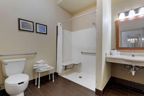 Comfort Suites Gainesville - image 14
