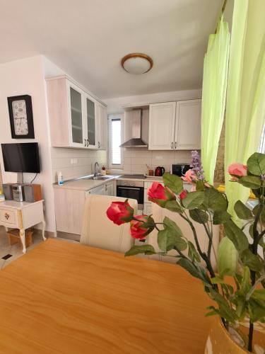 Apartmani Villa Rep in Blace