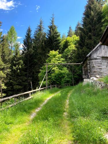Apkārtne, Baita Palue in Ronchi Valsugana